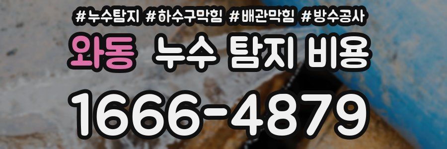 와동 누수 탐지 비용