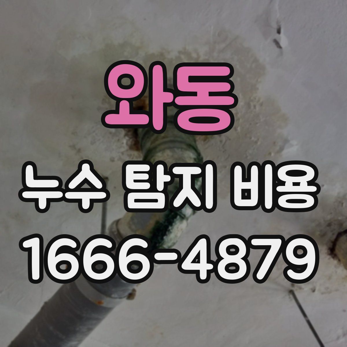 와동 누수 탐지 비용