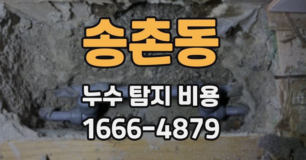 송촌동 누수 탐지 비용
