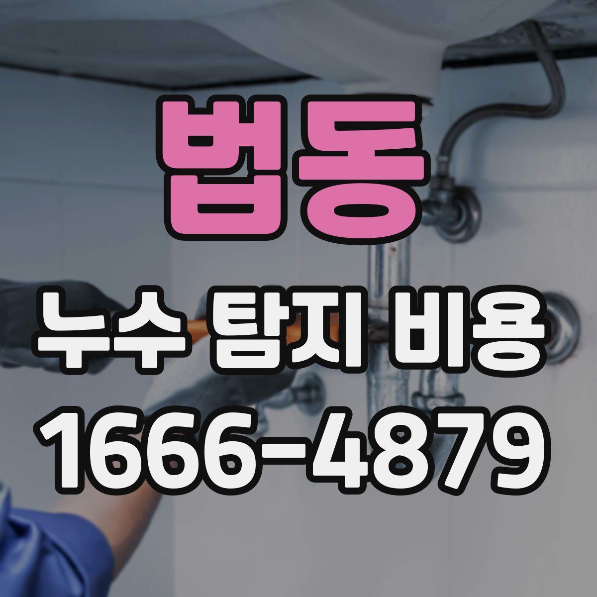 법동 누수 탐지 비용