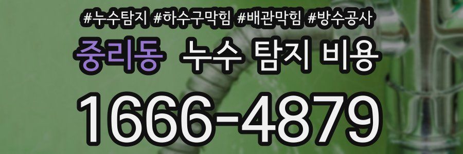 중리동 누수 탐지 비용