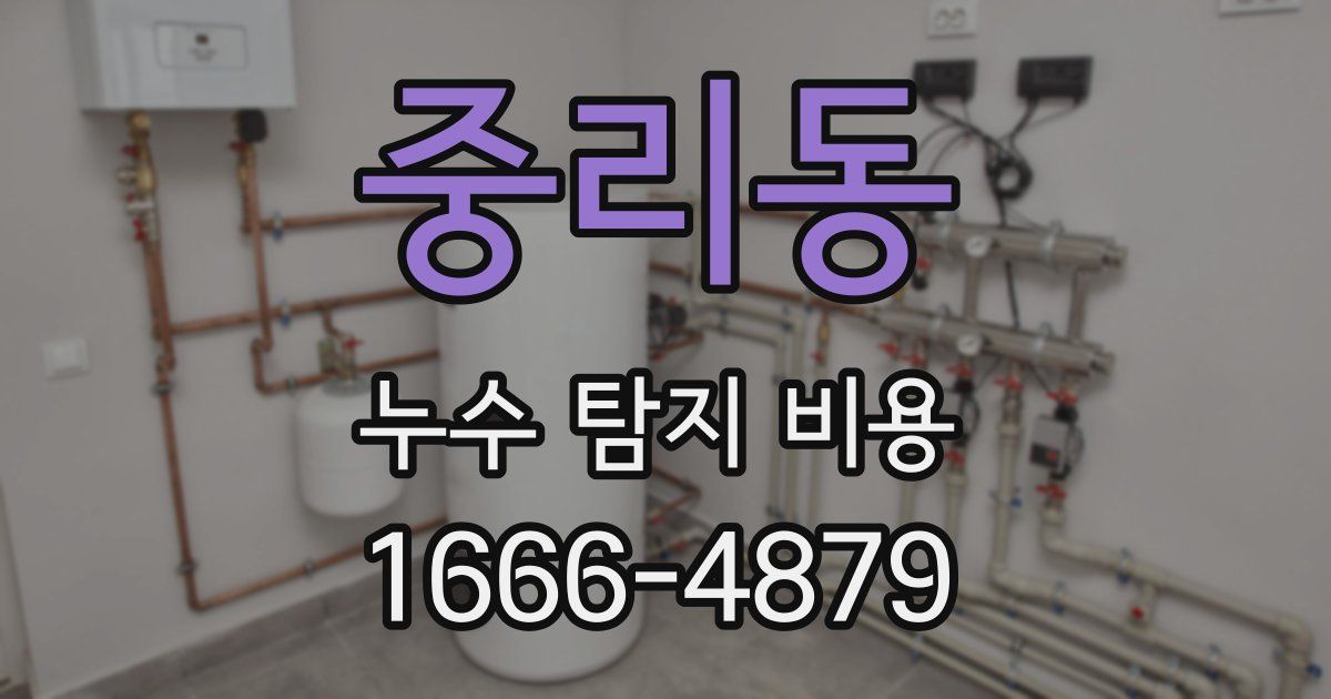 중리동 누수 탐지 비용