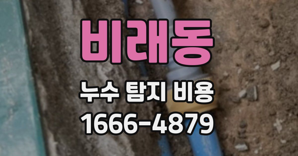 비래동 누수 탐지 비용