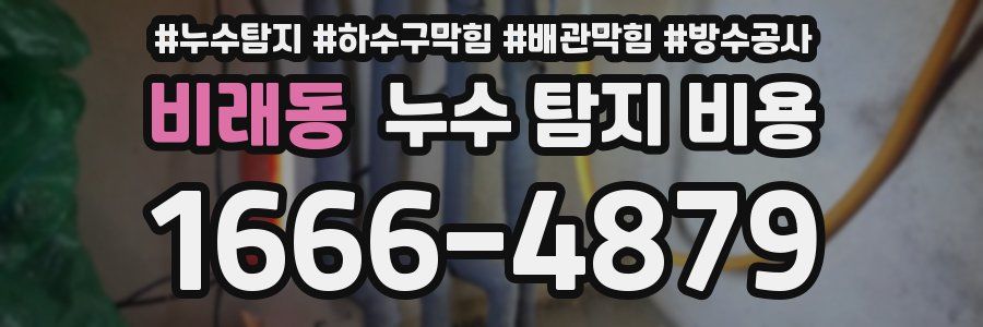 비래동 누수 탐지 비용