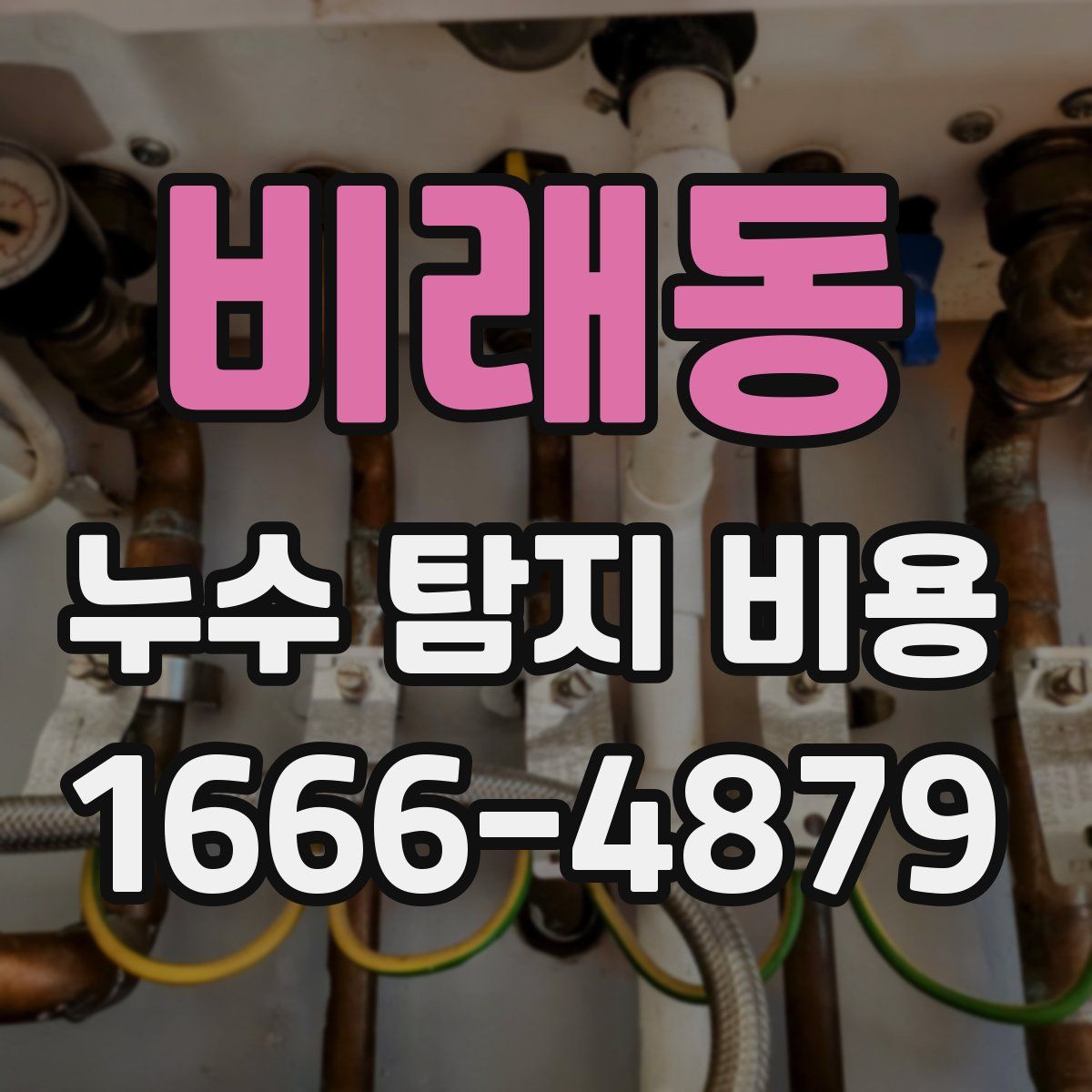 비래동 누수 탐지 비용