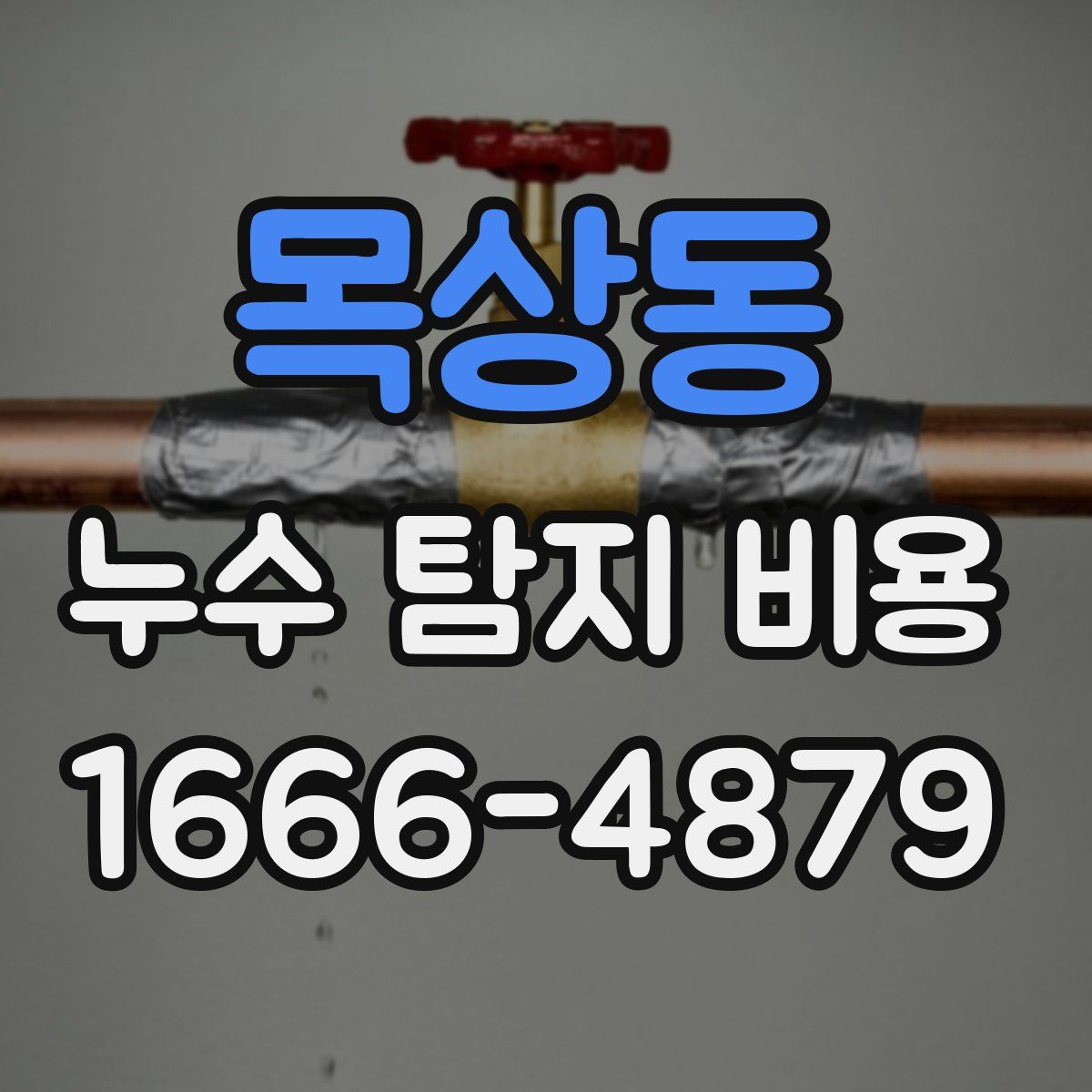 목상동 누수 탐지 비용