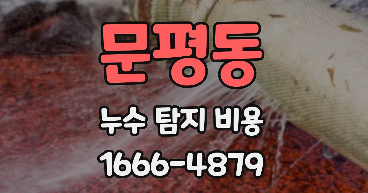 문평동 누수 탐지 비용