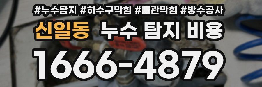 신일동 누수 탐지 비용