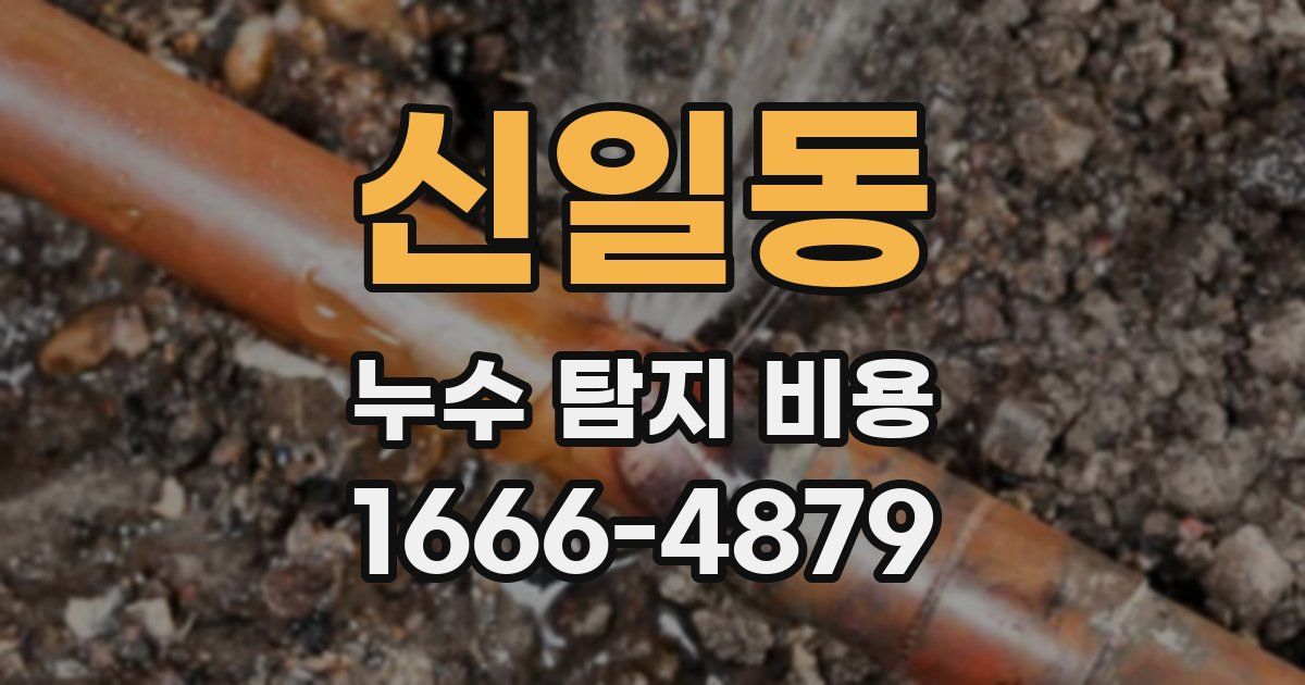 신일동 누수 탐지 비용