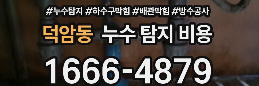 덕암동 누수 탐지 비용