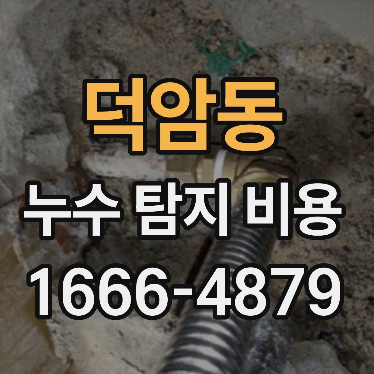 덕암동 누수 탐지 비용