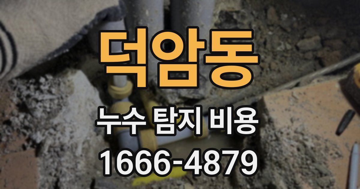 덕암동 누수 탐지 비용