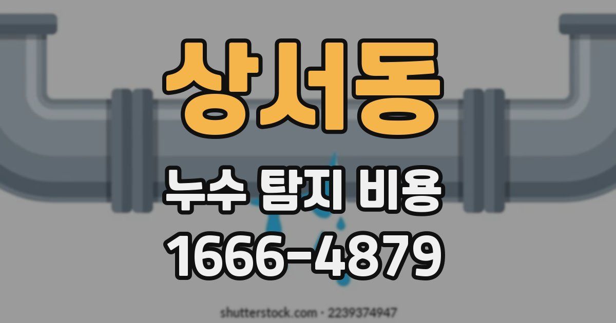 상서동 누수 탐지 비용