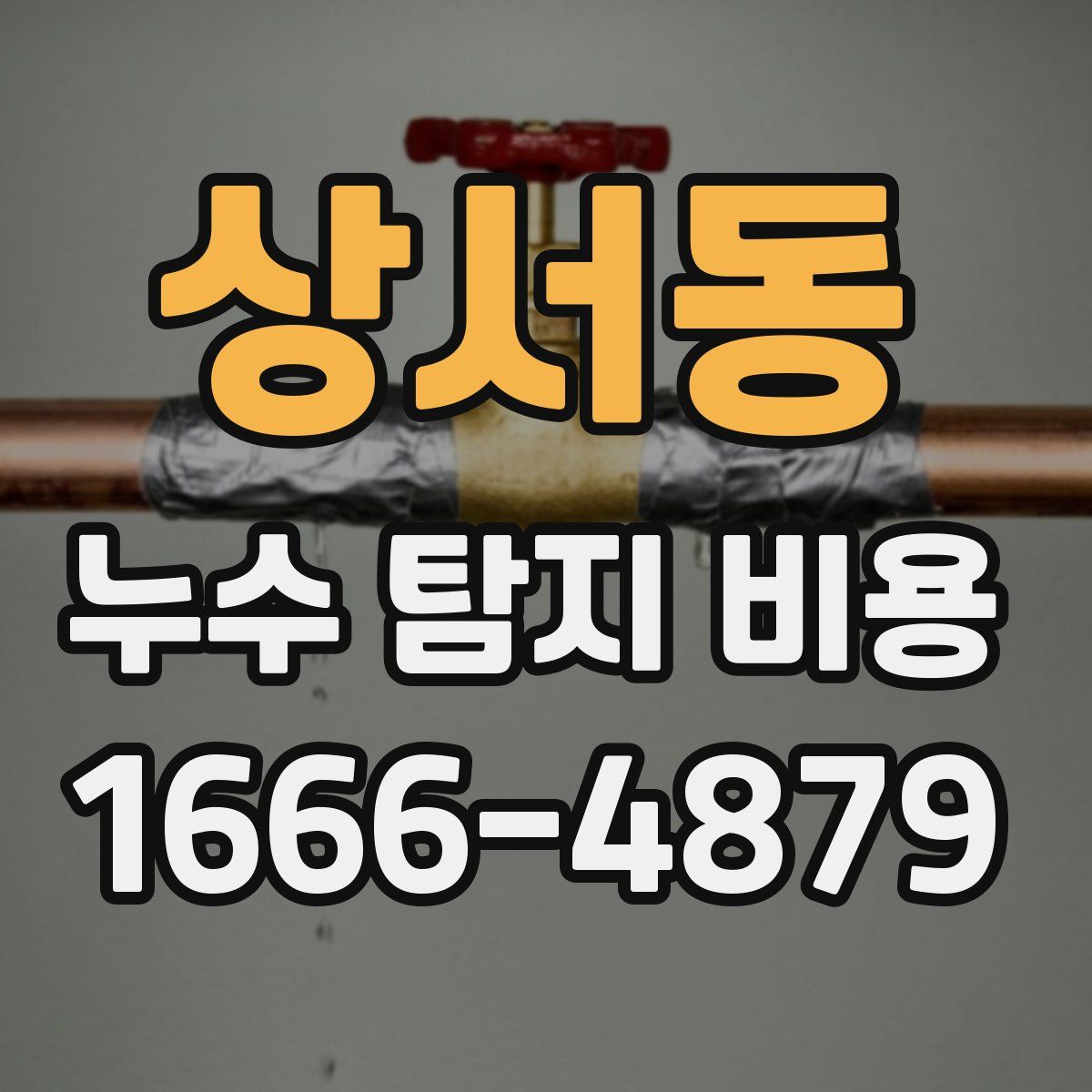 상서동 누수 탐지 비용