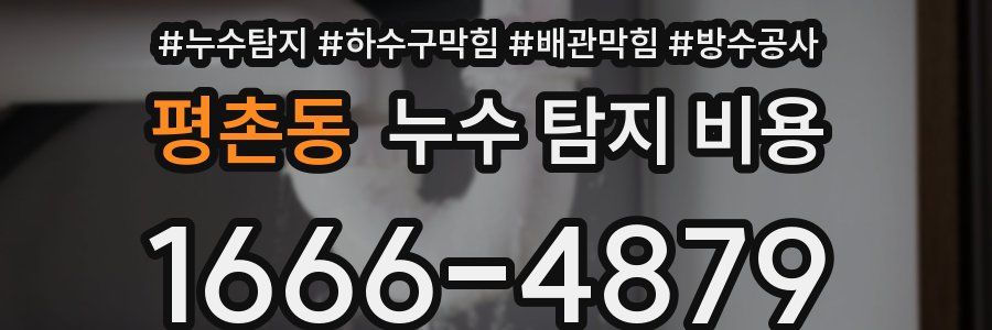 평촌동 누수 탐지 비용