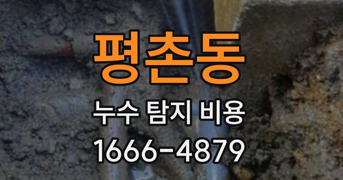 평촌동 누수 탐지 비용