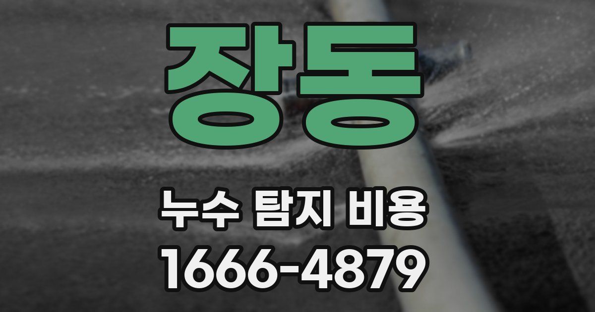 장동 누수 탐지 비용