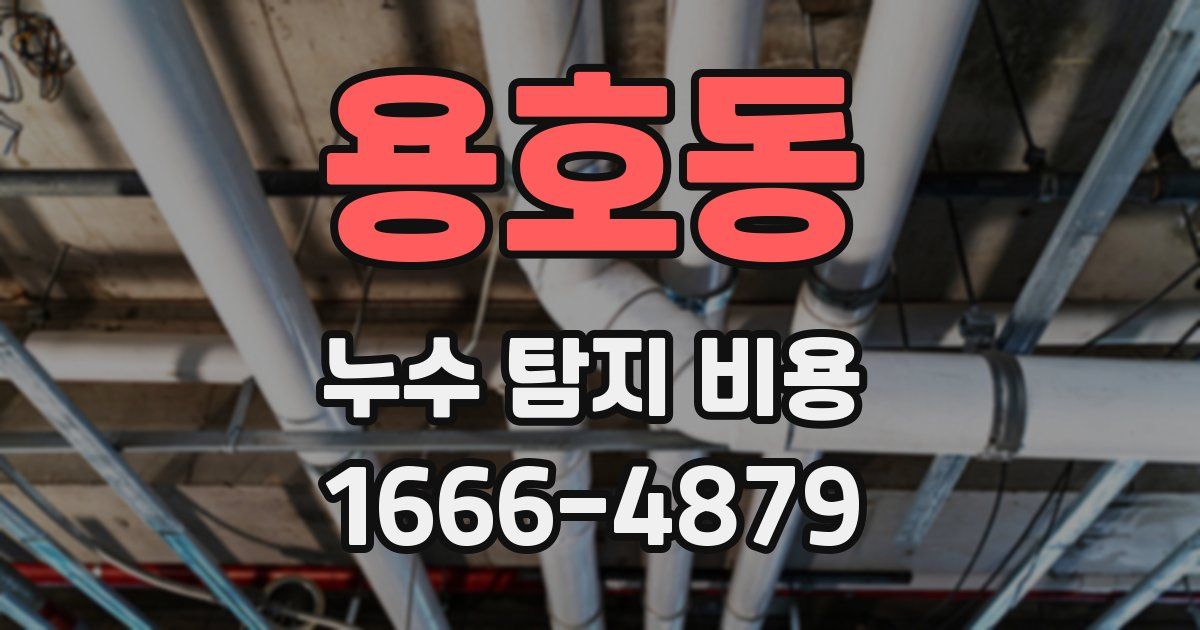 용호동 누수 탐지 비용