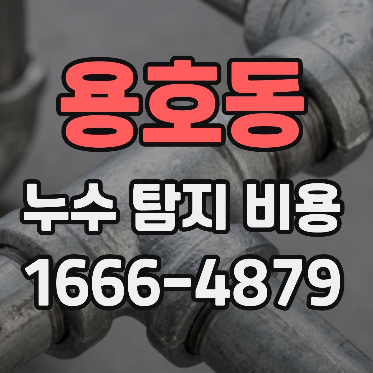 용호동 누수 탐지 비용