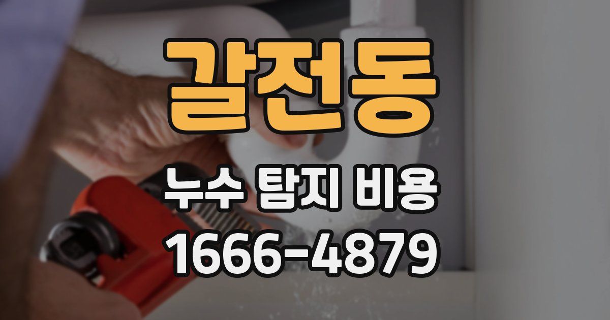 갈전동 누수 탐지 비용