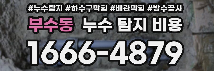 부수동 누수 탐지 비용