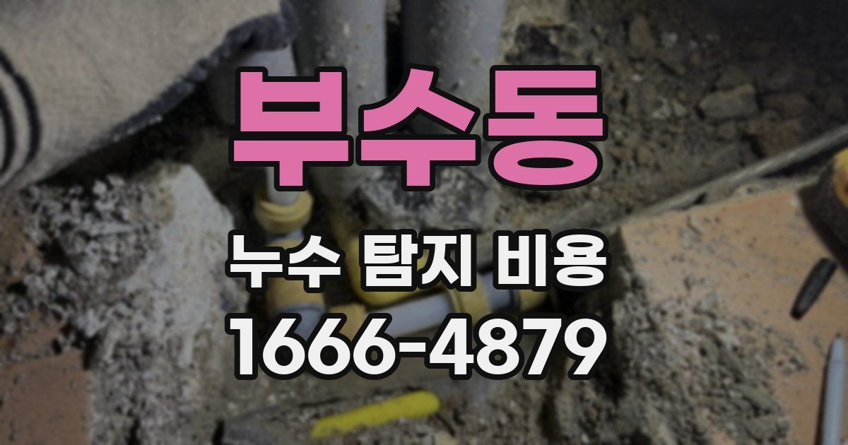 부수동 누수 탐지 비용
