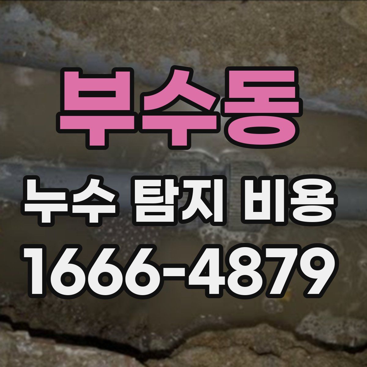부수동 누수 탐지 비용