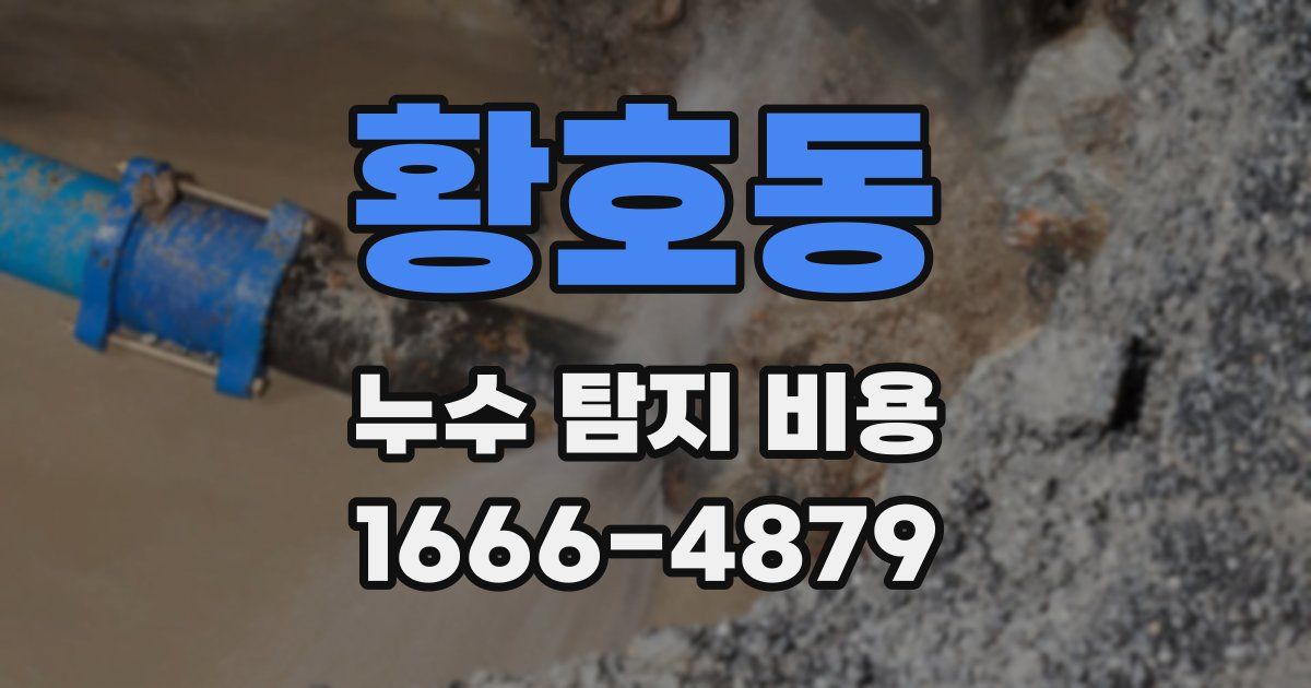 황호동 누수 탐지 비용