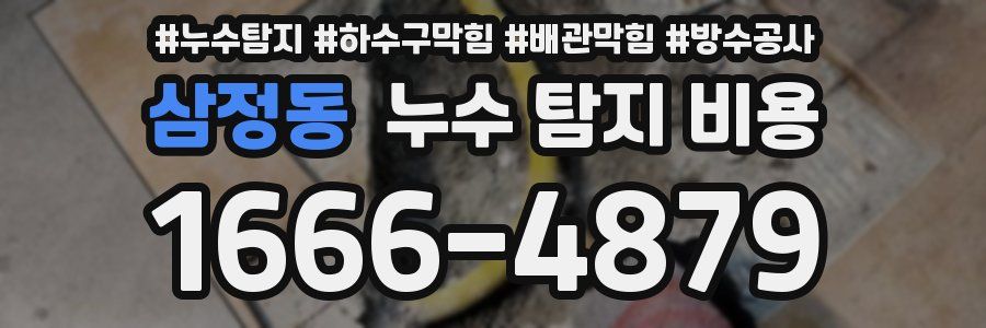 삼정동 누수 탐지 비용