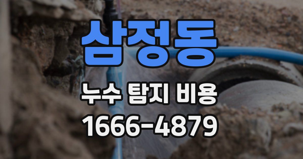 삼정동 누수 탐지 비용