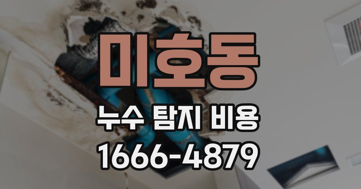 미호동 누수 탐지 비용