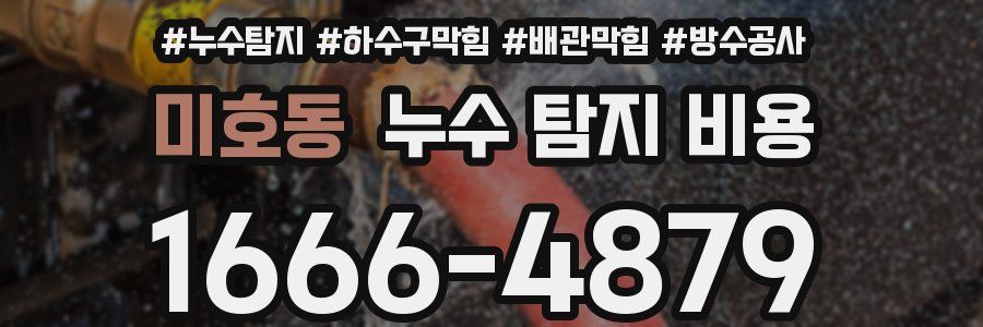 미호동 누수 탐지 비용