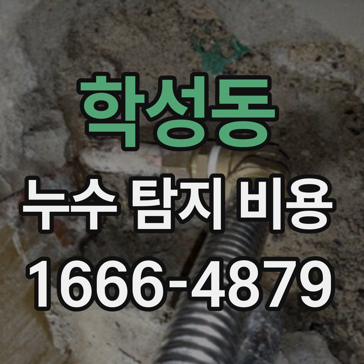 학성동 누수 탐지 비용