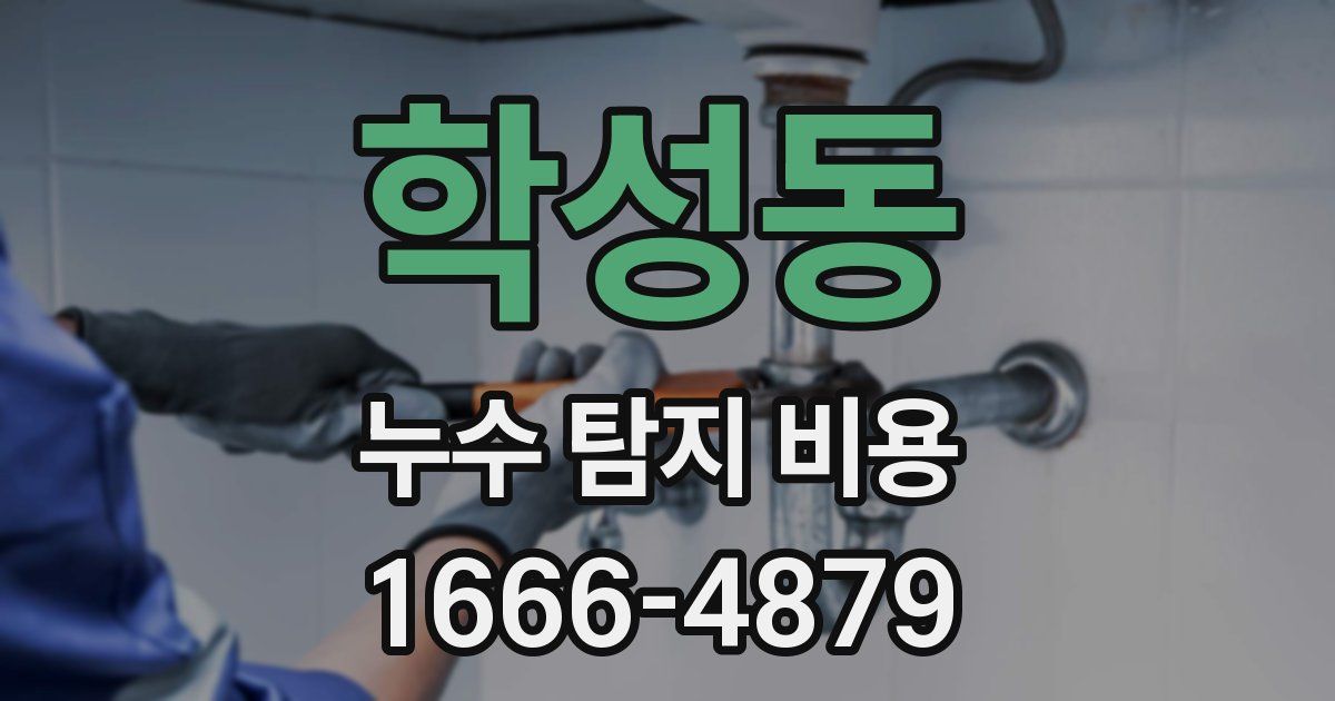 학성동 누수 탐지 비용