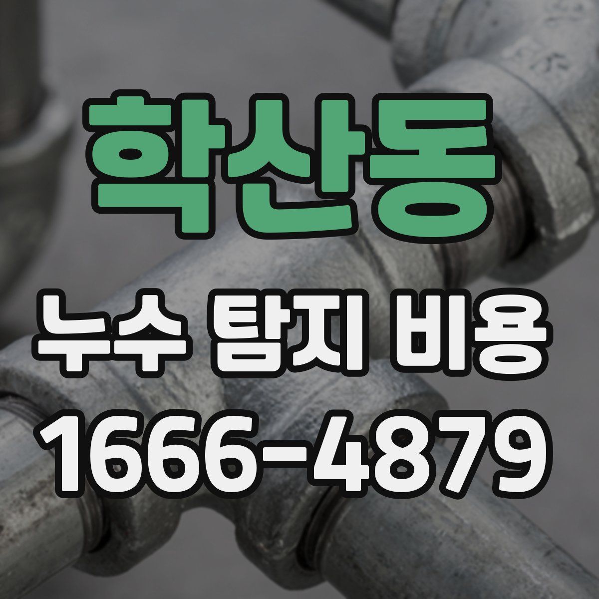 학산동 누수 탐지 비용