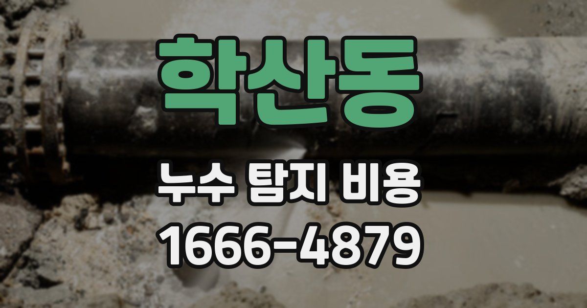 학산동 누수 탐지 비용