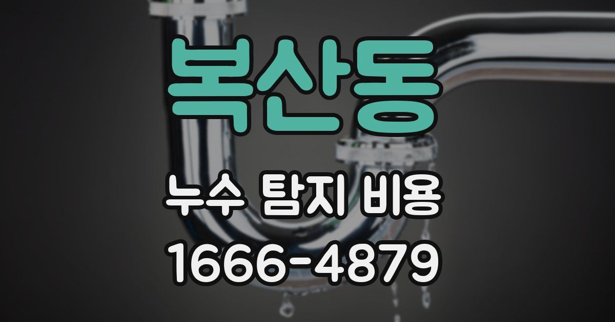 복산동 누수 탐지 비용