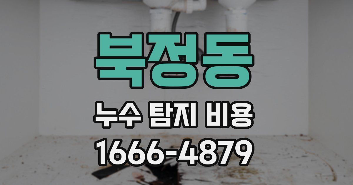 북정동 누수 탐지 비용