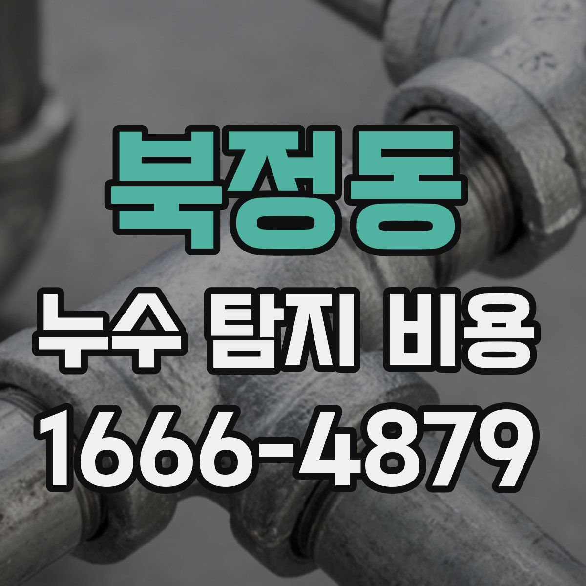 북정동 누수 탐지 비용
