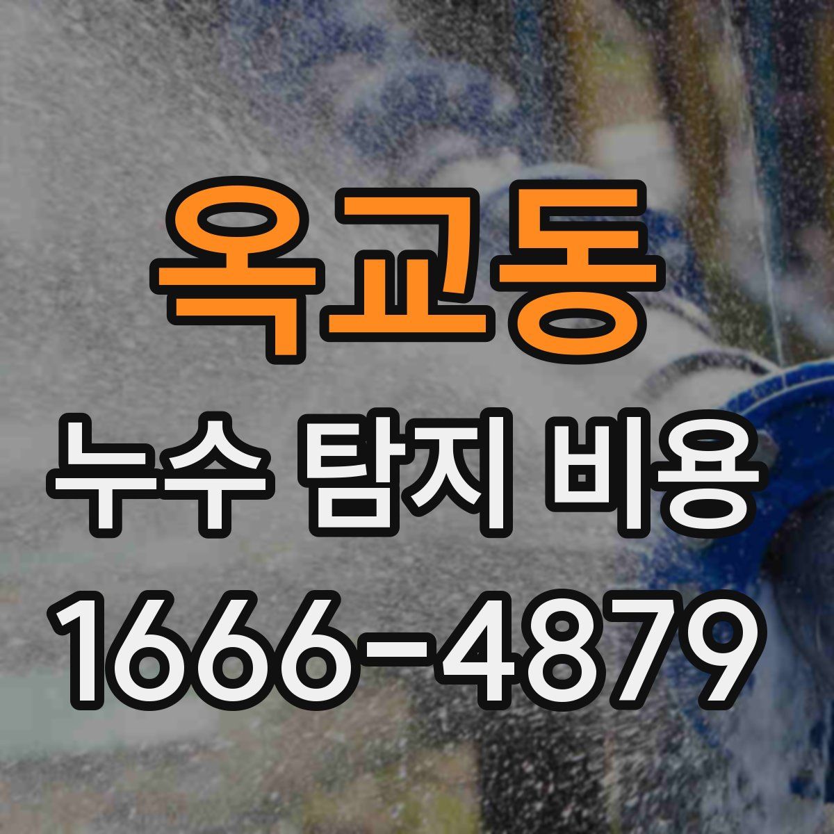 옥교동 누수 탐지 비용