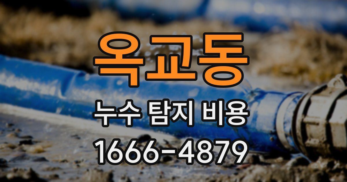 옥교동 누수 탐지 비용