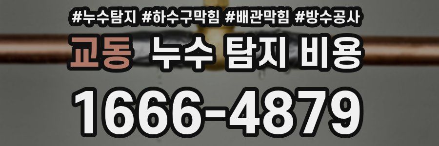 교동 누수 탐지 비용