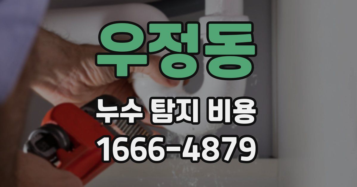 우정동 누수 탐지 비용