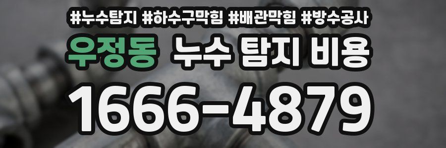 우정동 누수 탐지 비용
