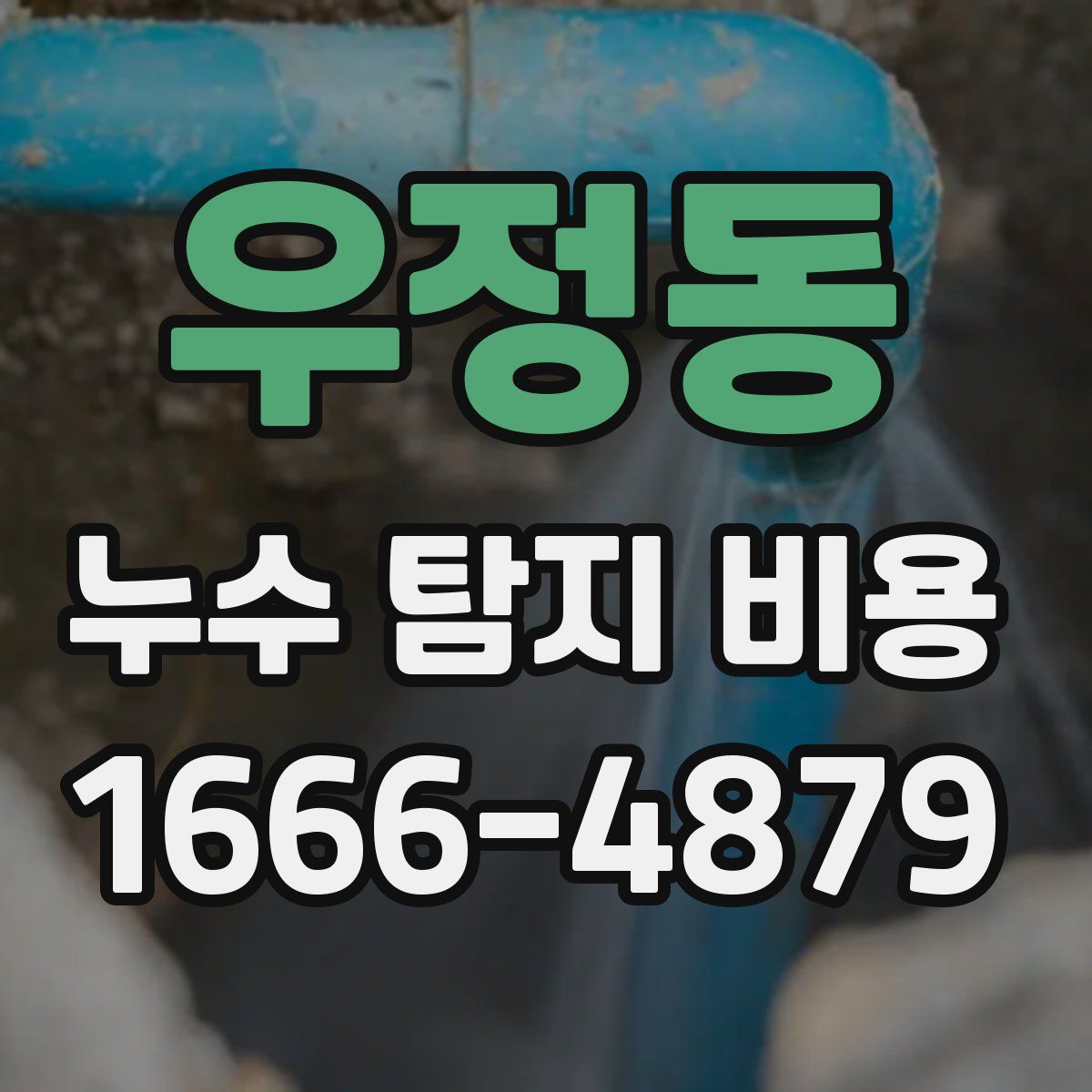 우정동 누수 탐지 비용