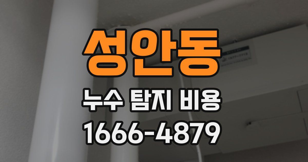 성안동 누수 탐지 비용