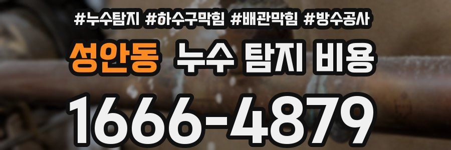 성안동 누수 탐지 비용