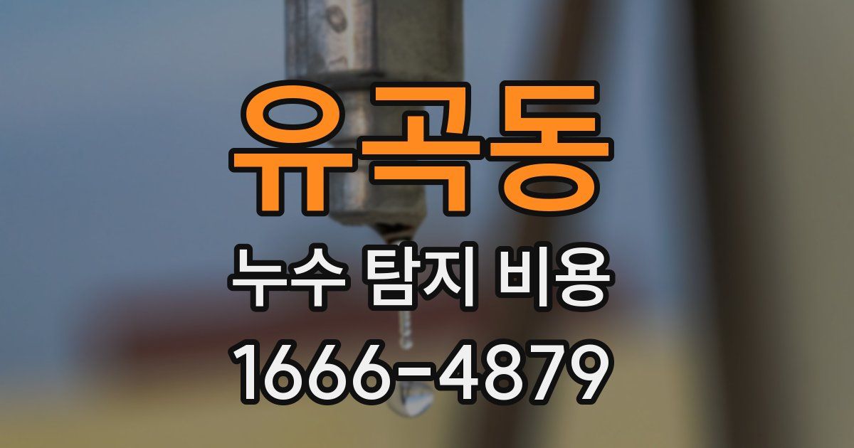 유곡동 누수 탐지 비용