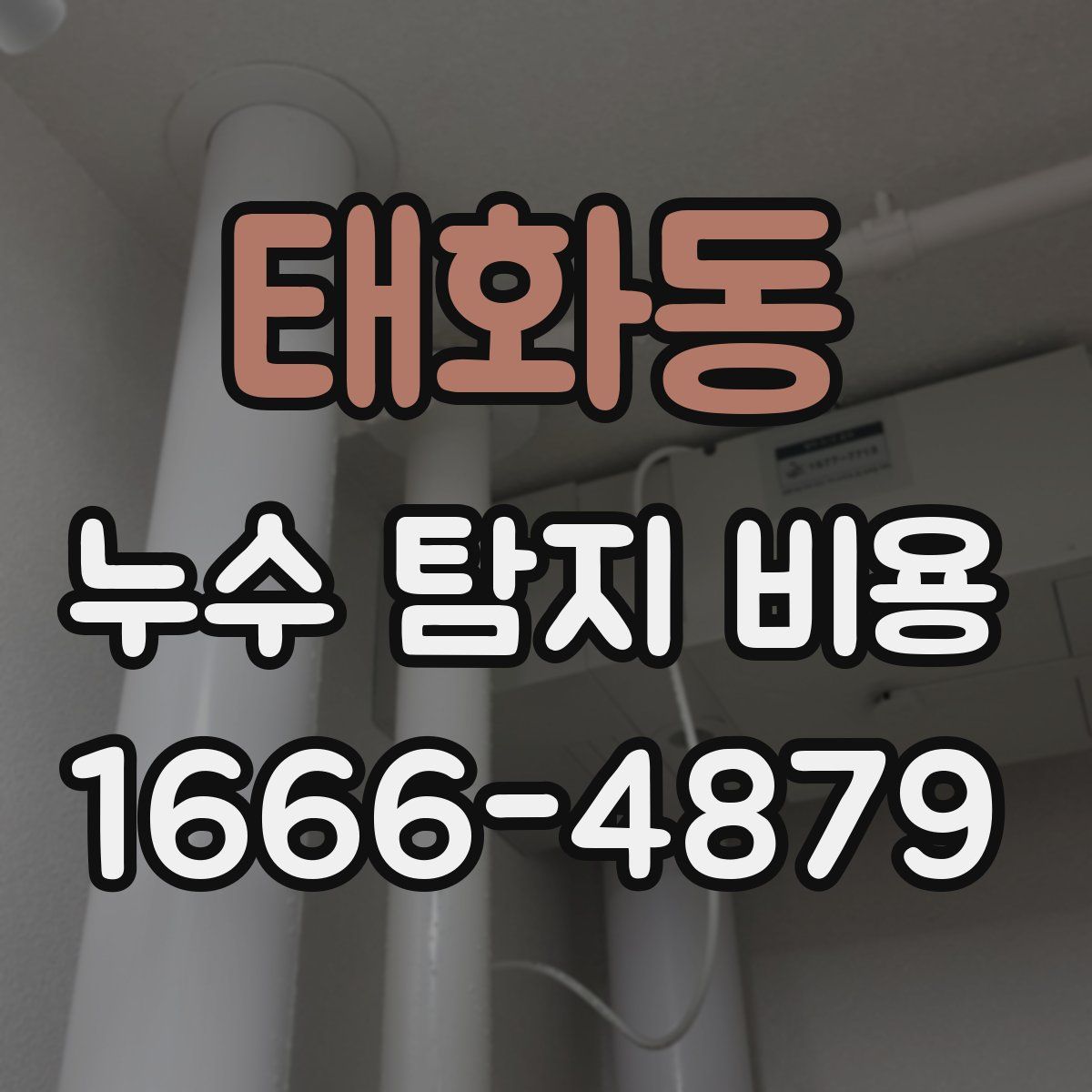 태화동 누수 탐지 비용