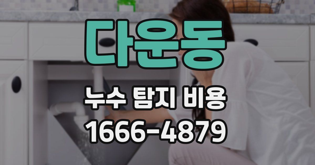 다운동 누수 탐지 비용